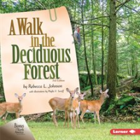 A_Walk_in_the_Deciduous_Forest